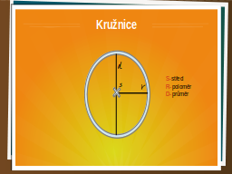 Slide 12