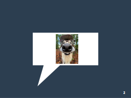 Slide 2