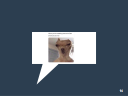 Slide 14