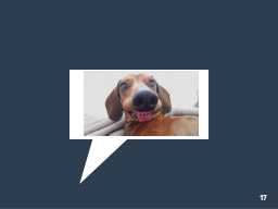 Slide 17