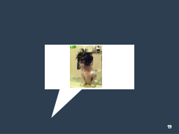 Slide 19