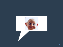 Slide 3