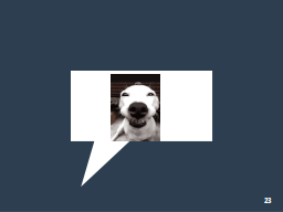 Slide 23