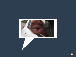 Slide 25
