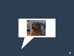 Slide 30
