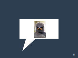 Slide 8