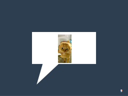 Slide 9
