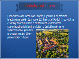 Slide 7